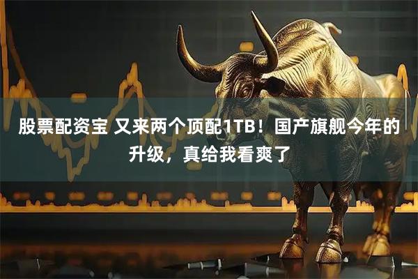 股票配资宝 又来两个顶配1TB！国产旗舰今年的升级，真给我看爽了
