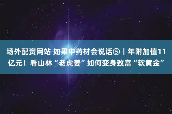 场外配资网站 如果中药材会说话⑤｜年附加值11亿元！看山林“老虎姜”如何变身致富“软黄金”